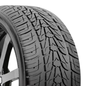 Nexen Roadian HP Tires