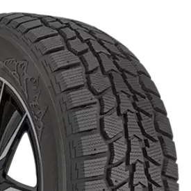 Hercules Avalanche RT Tires